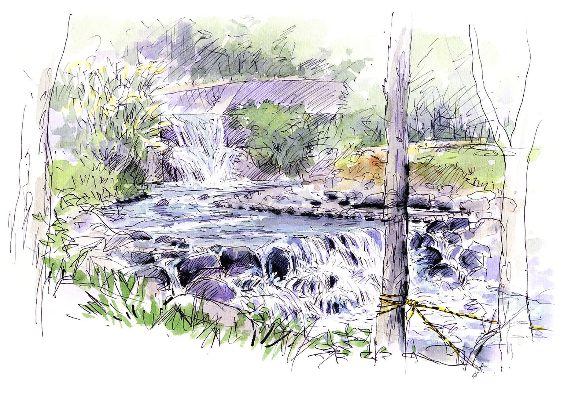togawa-keiryu.jpg